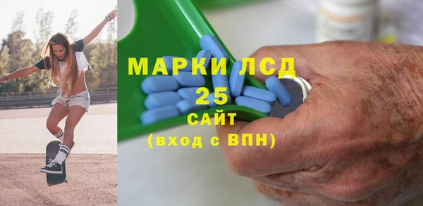 дурь Няндома