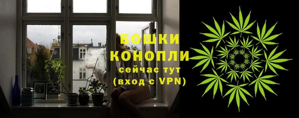 дурь Няндома