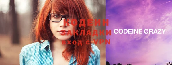 дурь Няндома