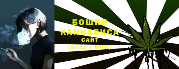 дурь Няндома