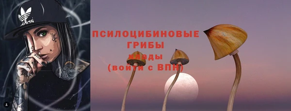 PSILOCYBIN Осинники