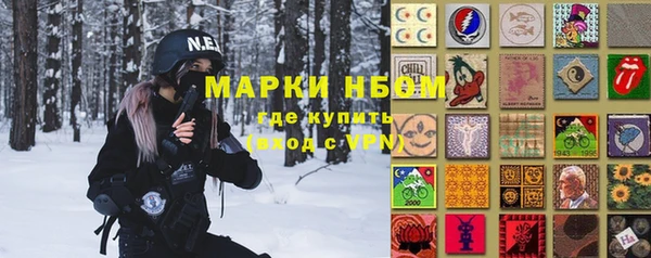 дурь Няндома