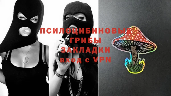 дурь Няндома