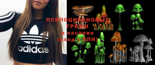 дурь Няндома