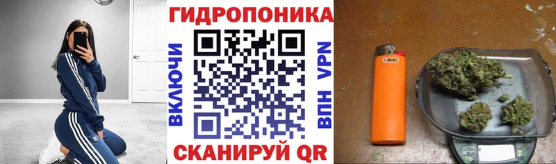 Купить Советск Шишки марихуана MAZAR